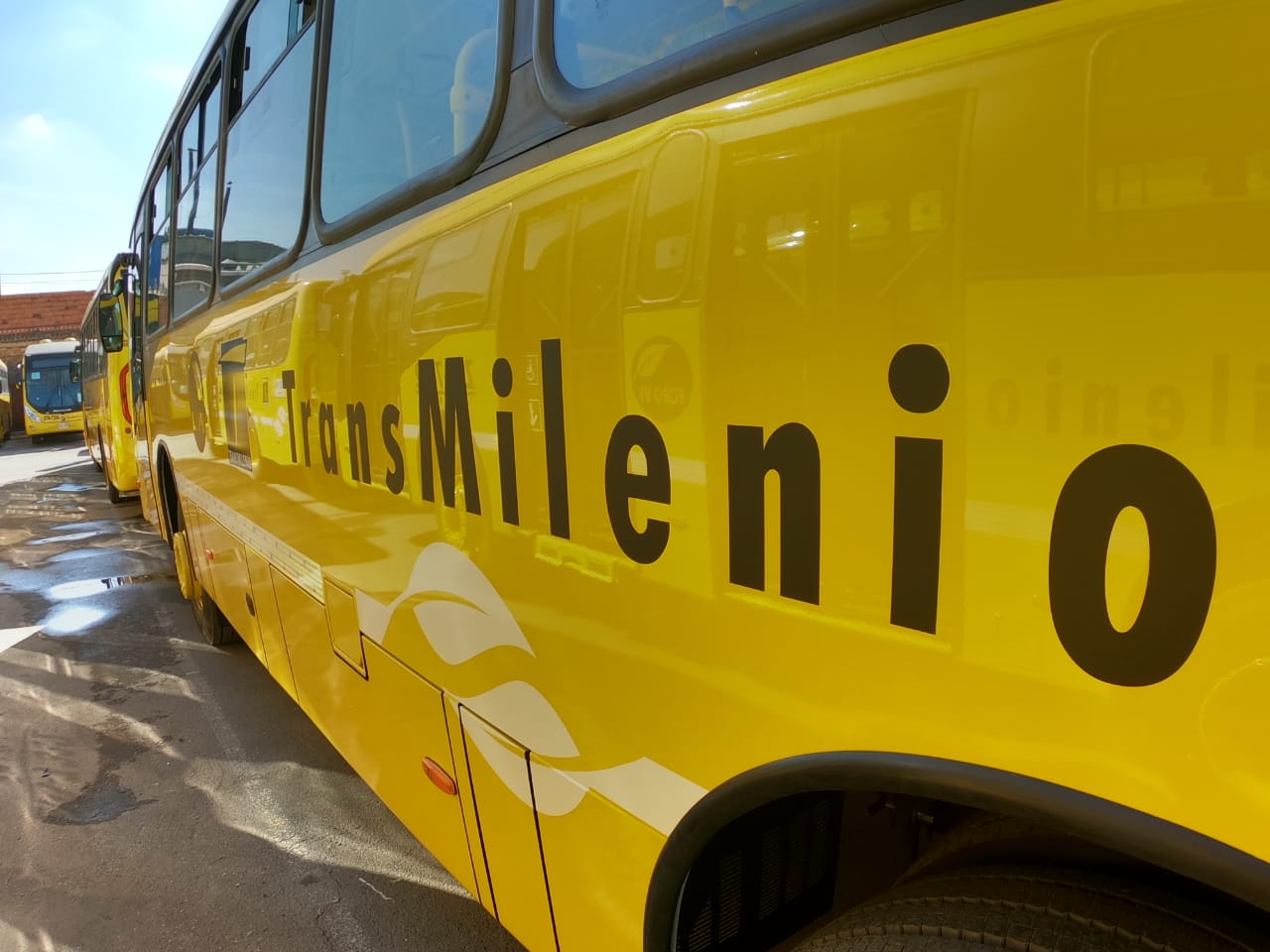 Nuevos buses amarillos de Transmilenio