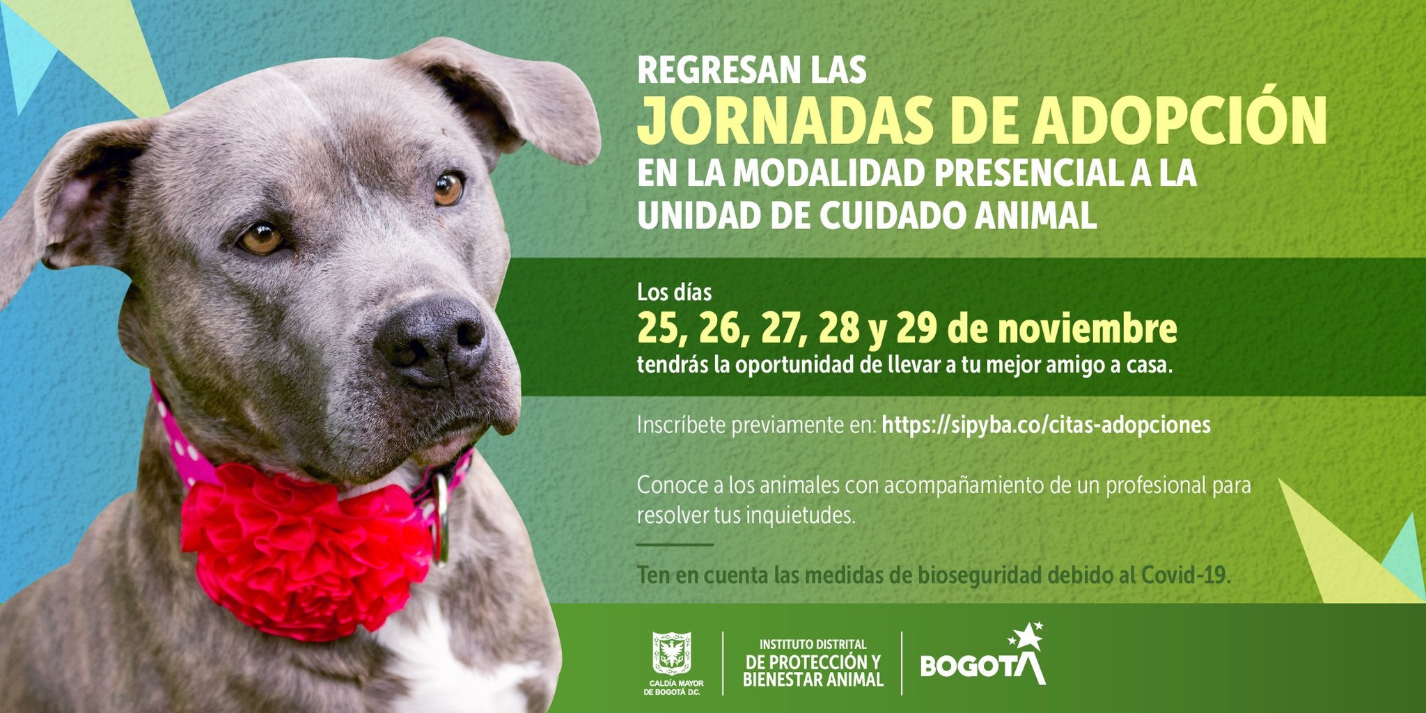 Adopción de mascotas