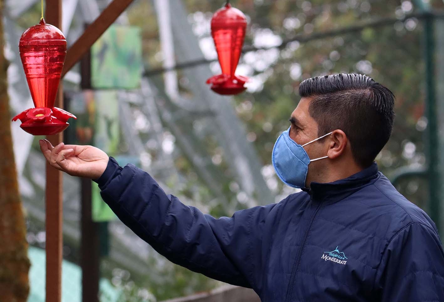 Los Colibrí en Monserrate, - Paramuno