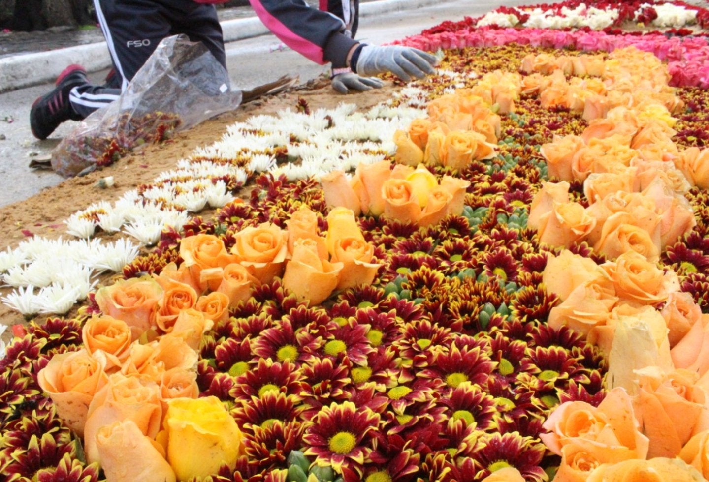 Fiesta de Flores en Madrid