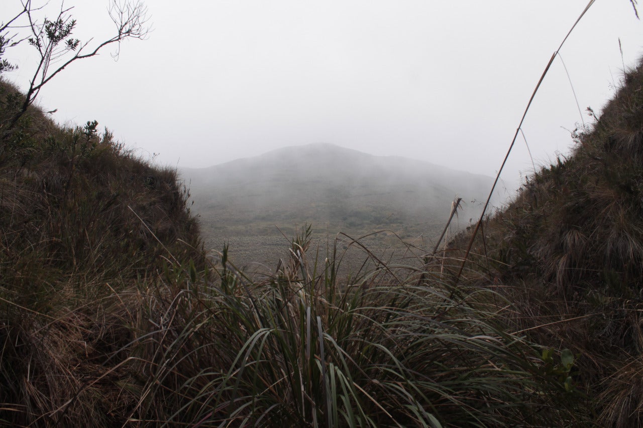 Páramo Sumapaz en Une, Cundinamarca