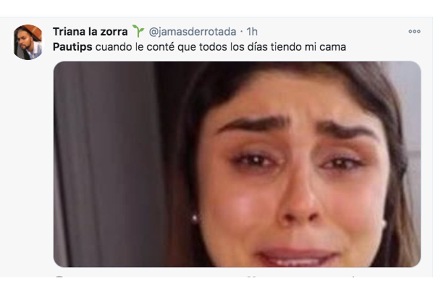Pautips y los memes que dejó su insólita llorada
