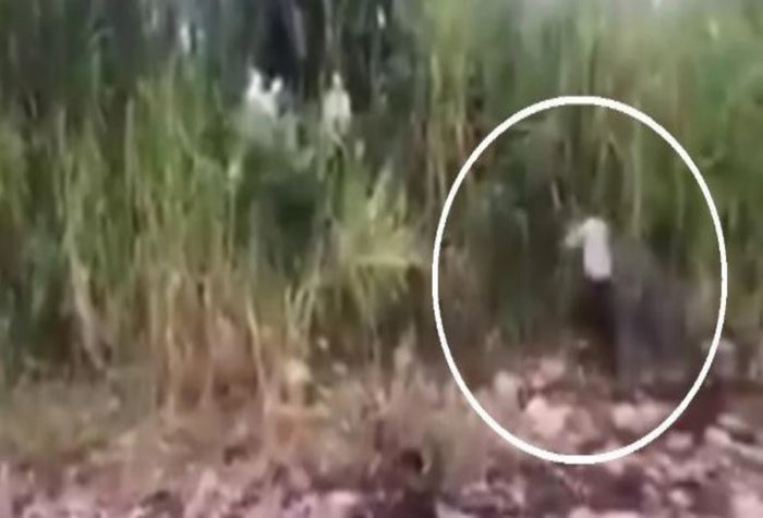 [Video] Alma en pena habría aparecido en su propia tumba en el Meta