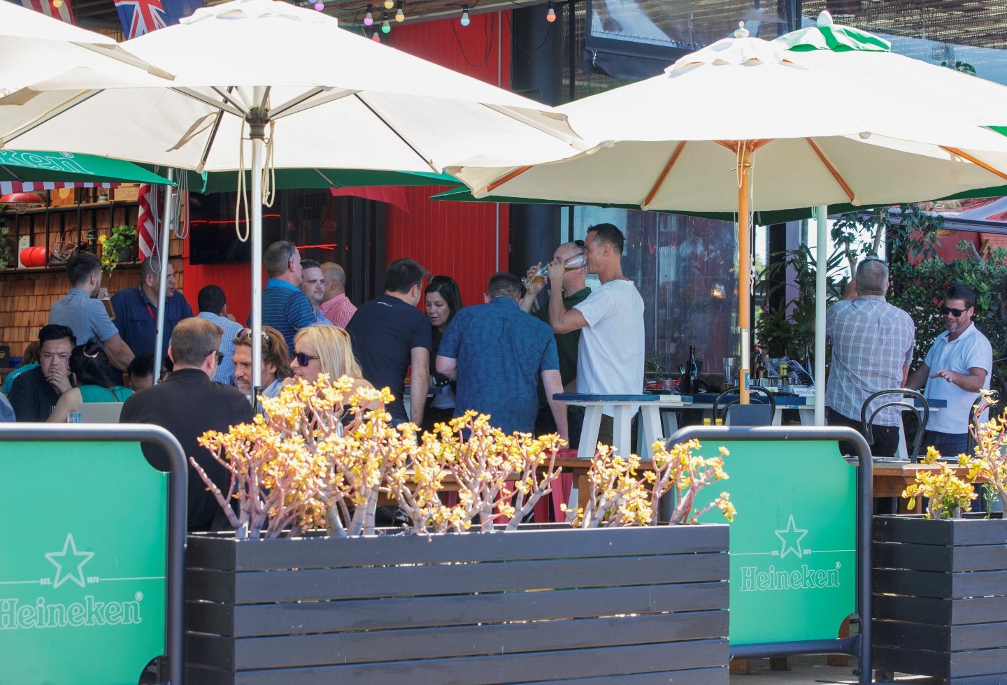 Becas para estudiantes colombianos en Nueva Zelanda