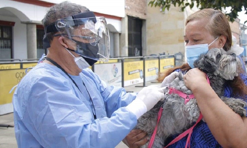 Jornada de vacunación