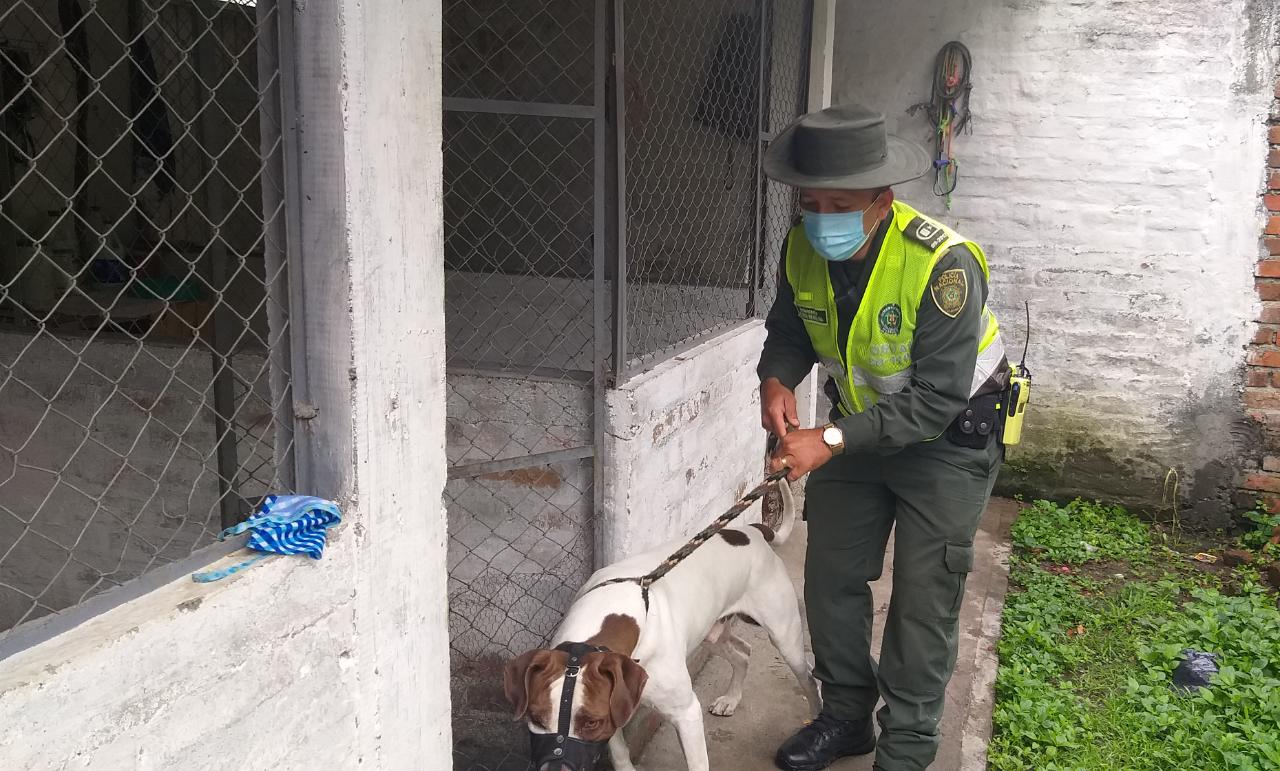 El caso ocurrió en Tuluá, Valle.