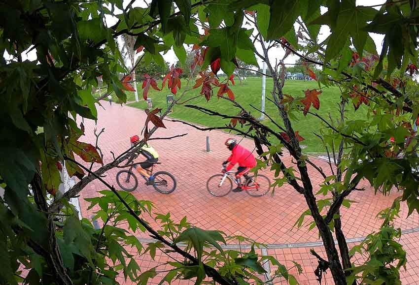 Bicicletas - uso de bicicleta en Bogotá