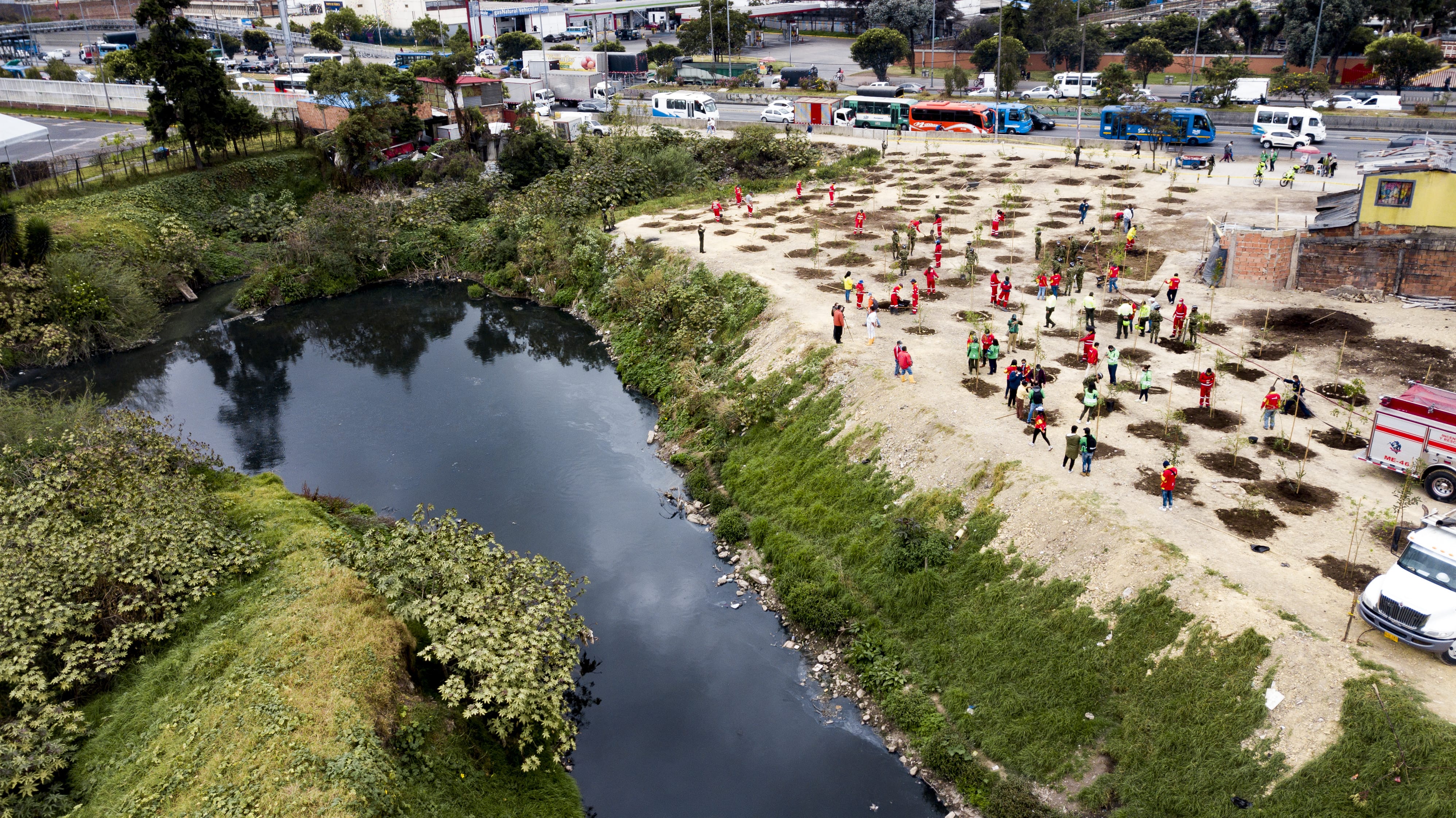 140 árboles plantados en la localidad de Kennedy