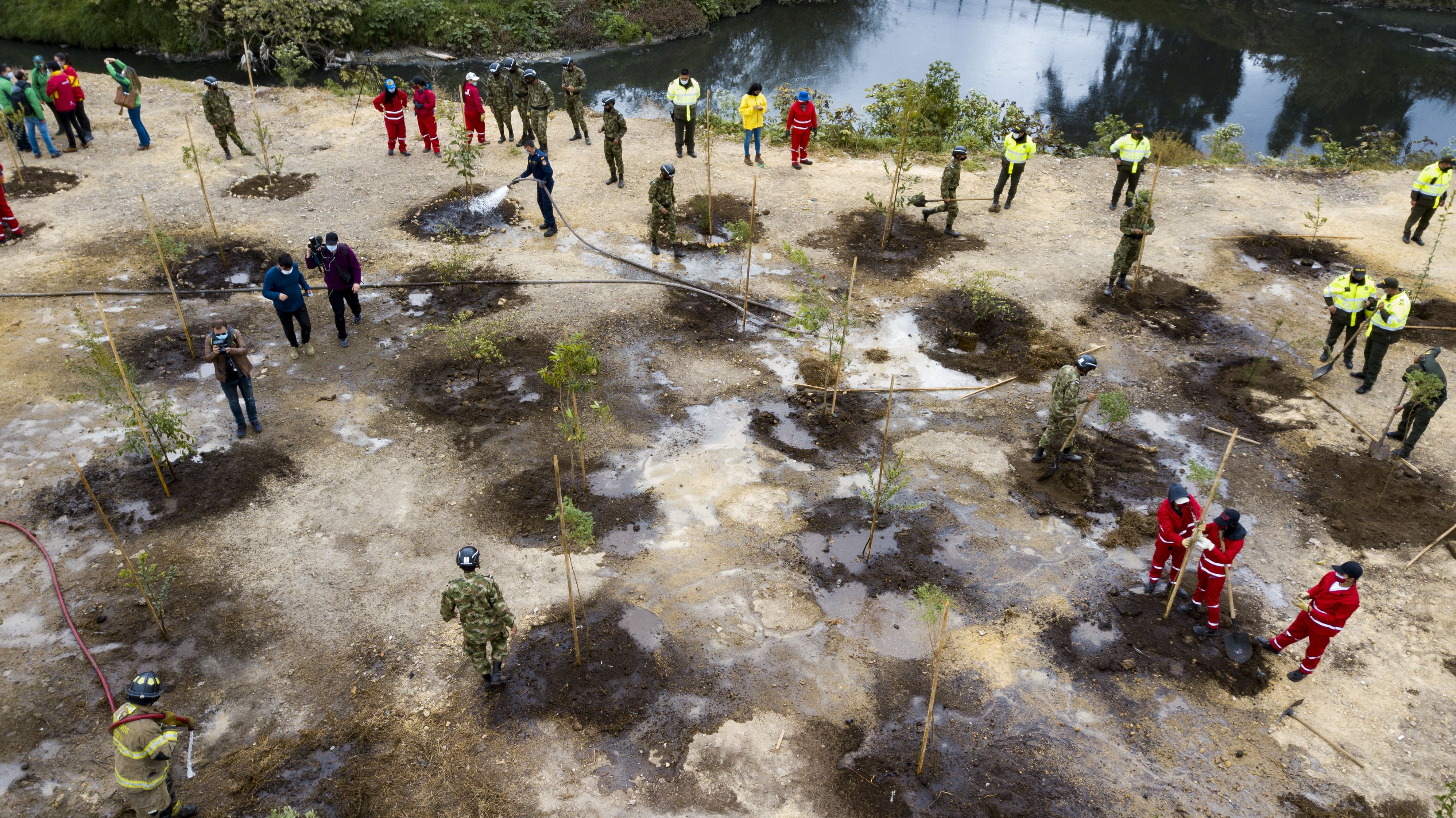 140 árboles plantados en la localidad de Kennedy