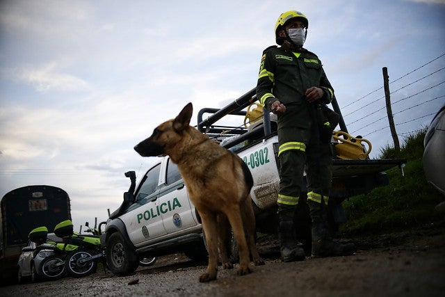 BÚSQUEDA DE SARA SOFÍA
