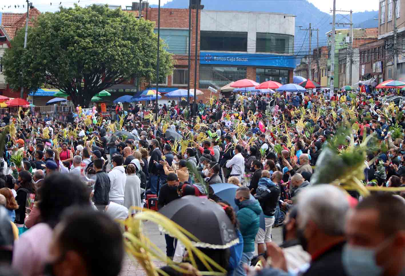 Domingo de Ramos / Iglesias de Bogotá / Semana Santa