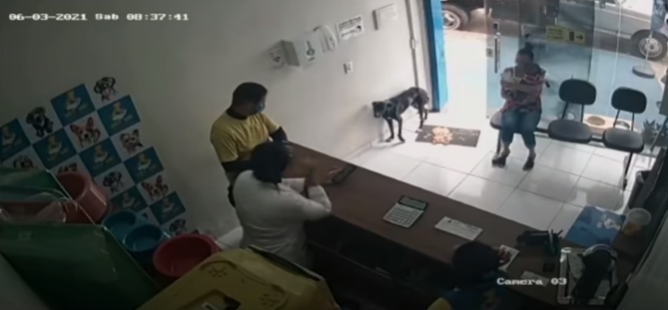 Clínica veterinaria