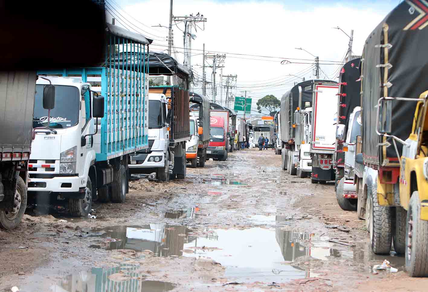 Conductores de vehículos de carga