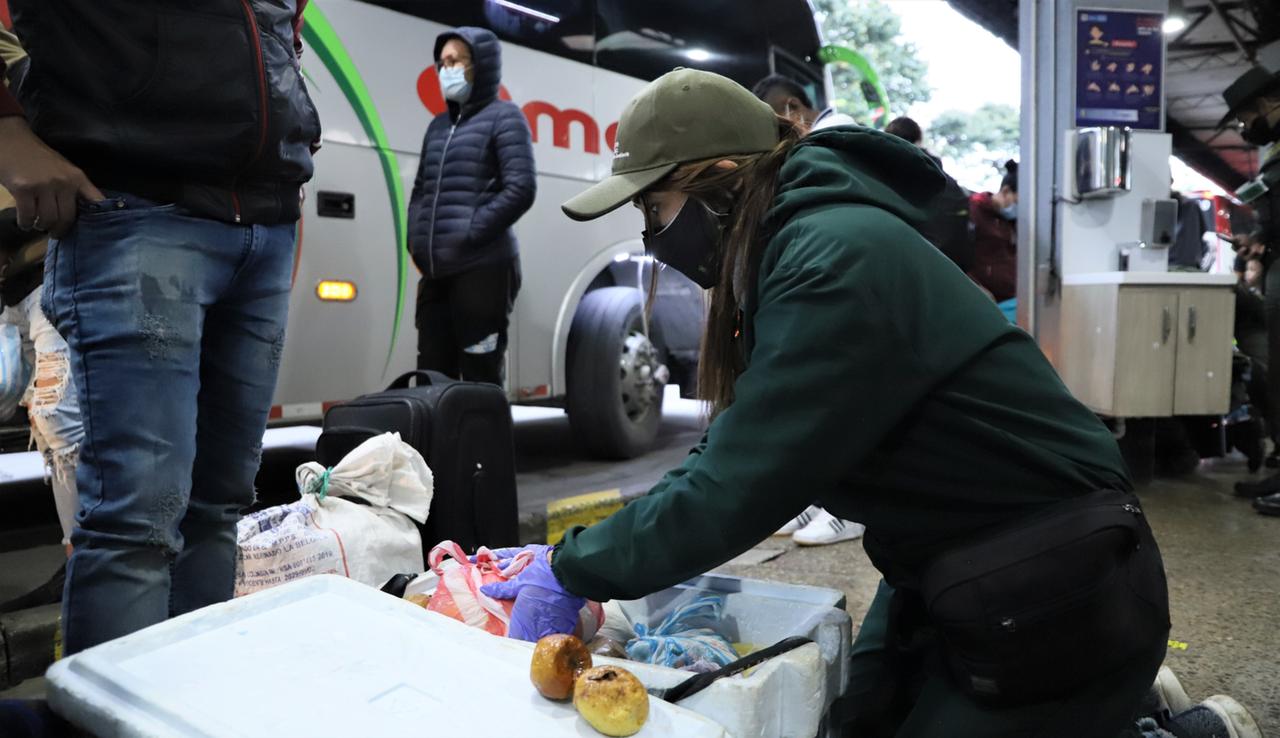 Tráfico de carne y huevos de tortuga