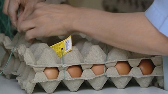 Imagen referencial huevos.