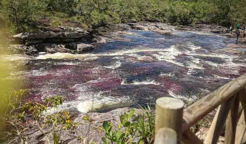 caño cristales en colombia