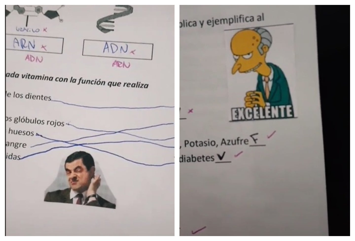 exámenes con memes