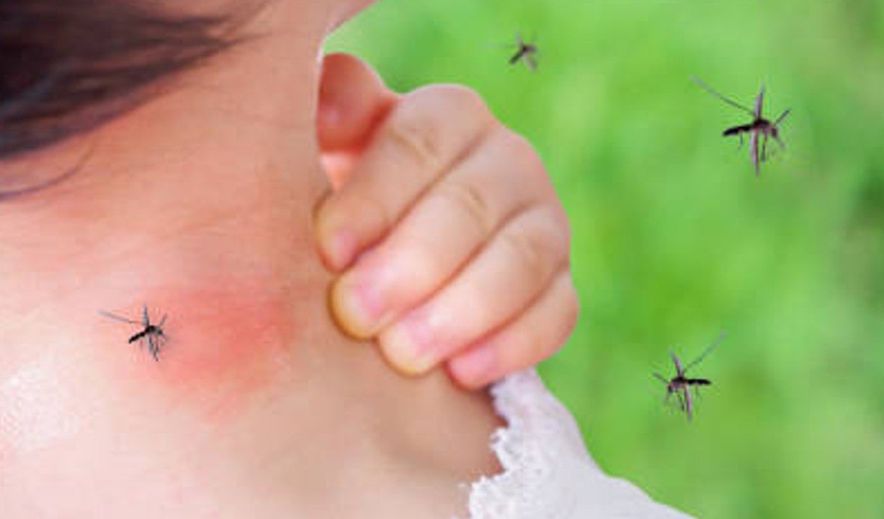 Cuide a los niños del dengue