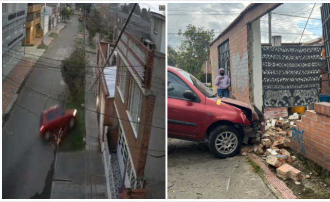 Conductor borracho estrella fundación de perros