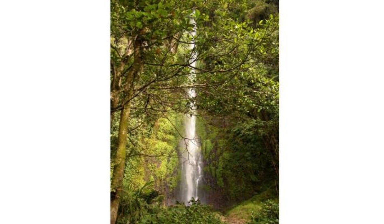 Cascadas ubicadas en Colombia