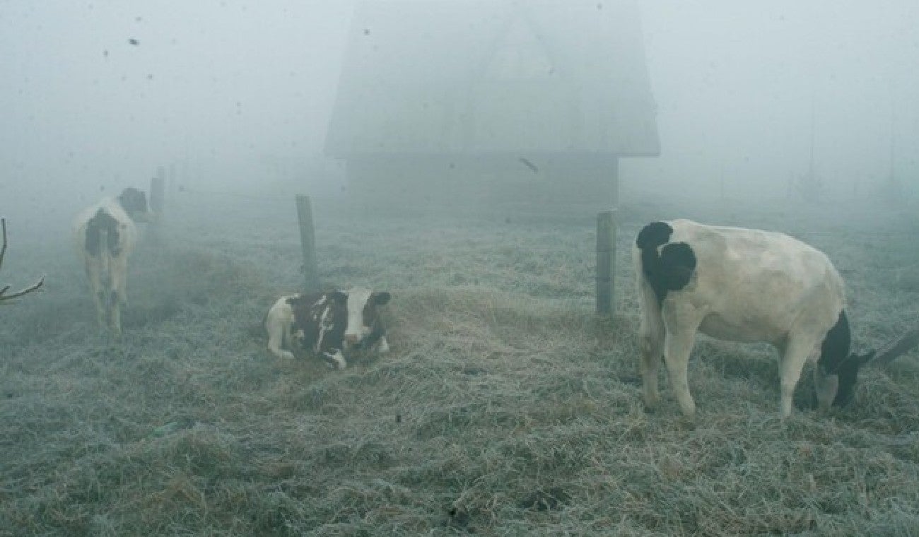 Clima frío en Cundinamarca