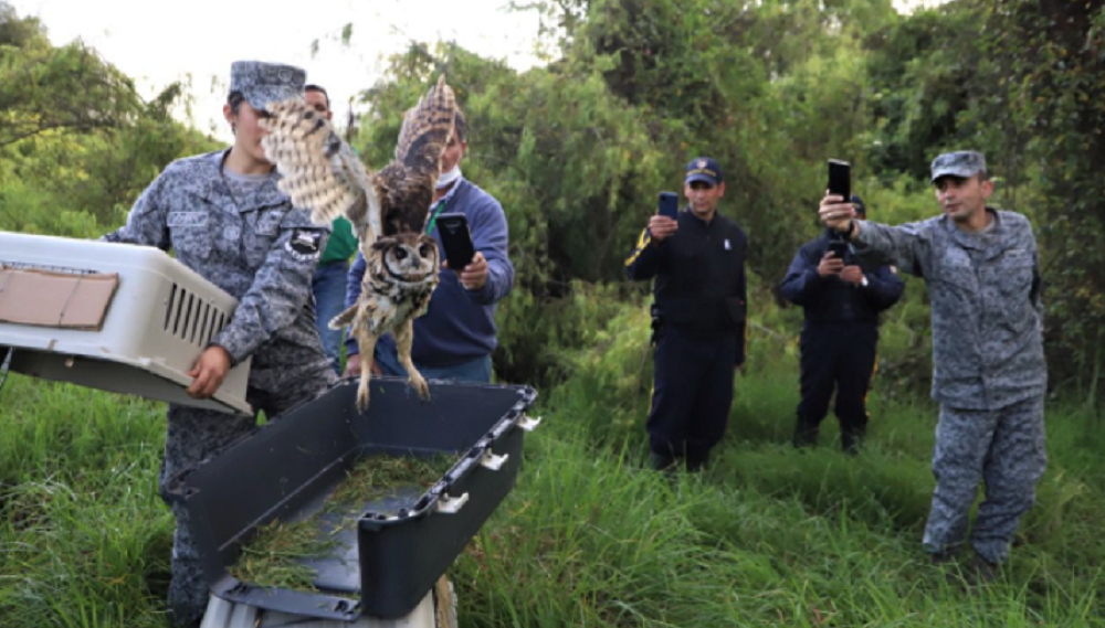 Liberación de animales silvestres en Bogotá