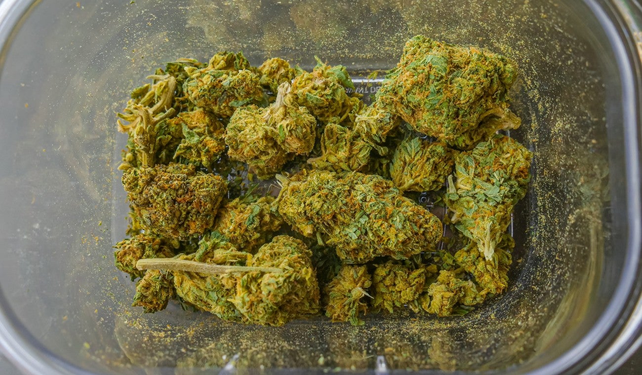 Marihuana hidropónica