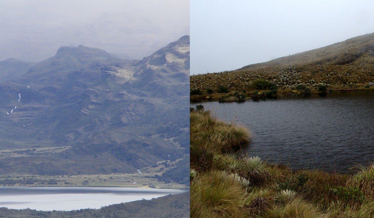 Parque nacional natural Chingaza y Parque nacional natural Sumapaz