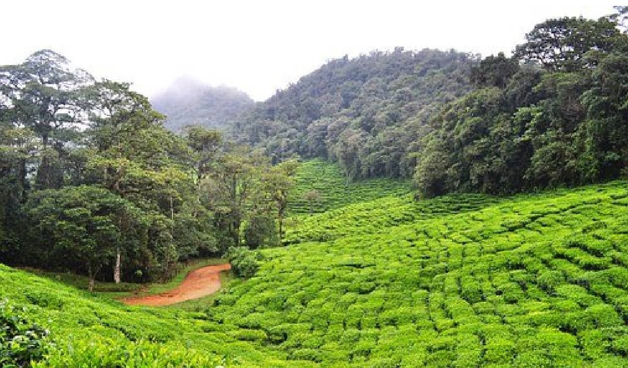 Pueblos cerca a Bogotá