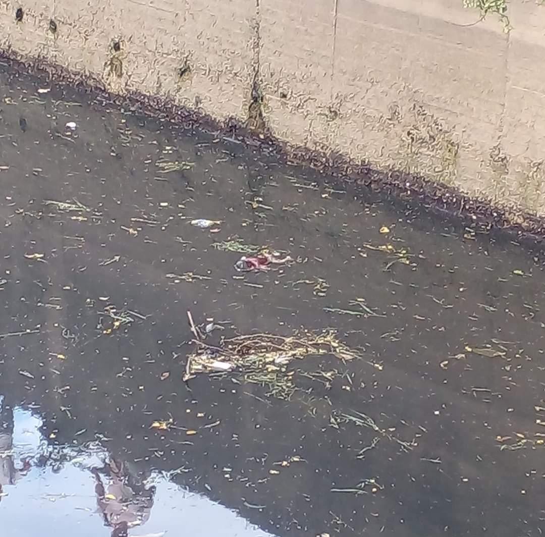 La comunidad sacó el cuerpo usando varios palos