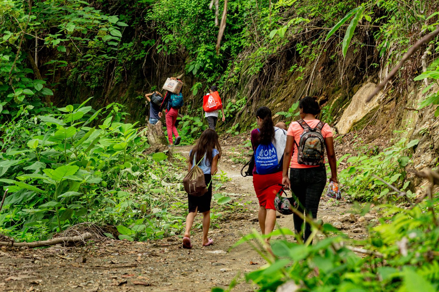 Retorno de desplazados a sus terrenos en la Sierra Nevada