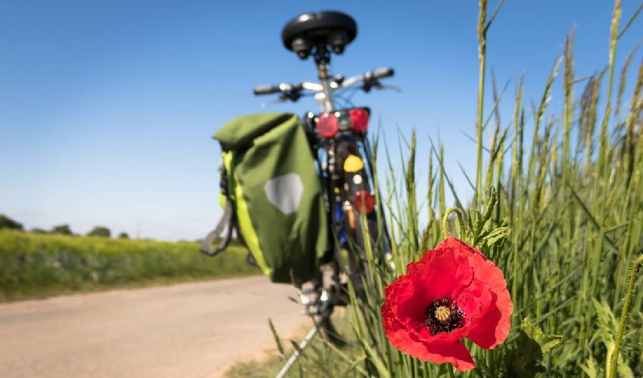 Las mejores rutas para ciclistas de montaña en Cundinamarca