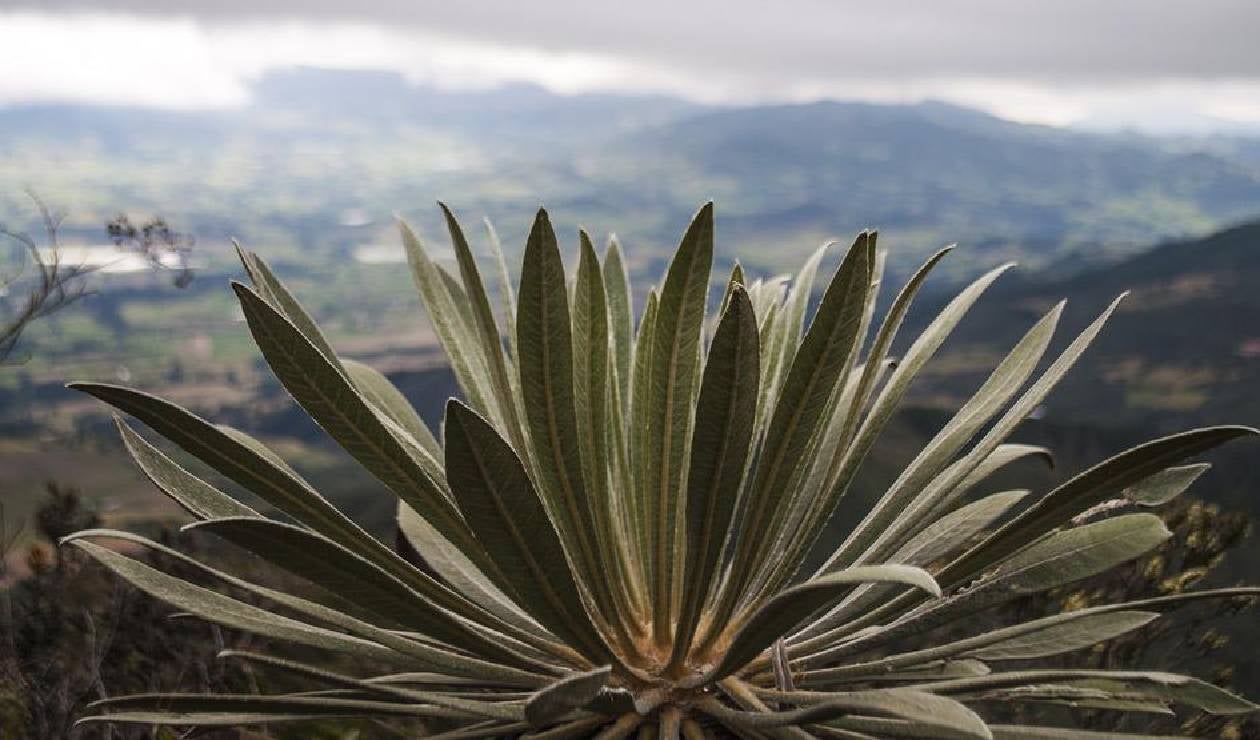 Las mejores rutas para ciclistas de montaña en Cundinamarca