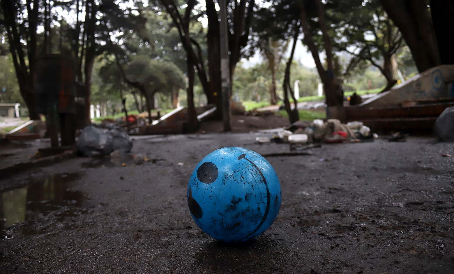 Parque Nacional: recuperación del espacio será con apoyo del Jardín Botánico