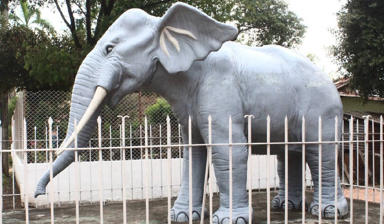 Museo Arqueológico y Paleontológico de Pubenza