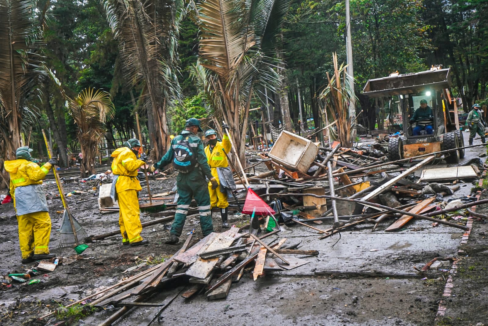 recuperación ambiental del Parque Nacional