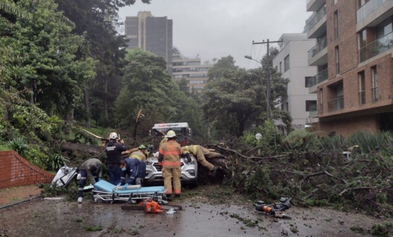 Caída de árbol en el norte de Bogotá