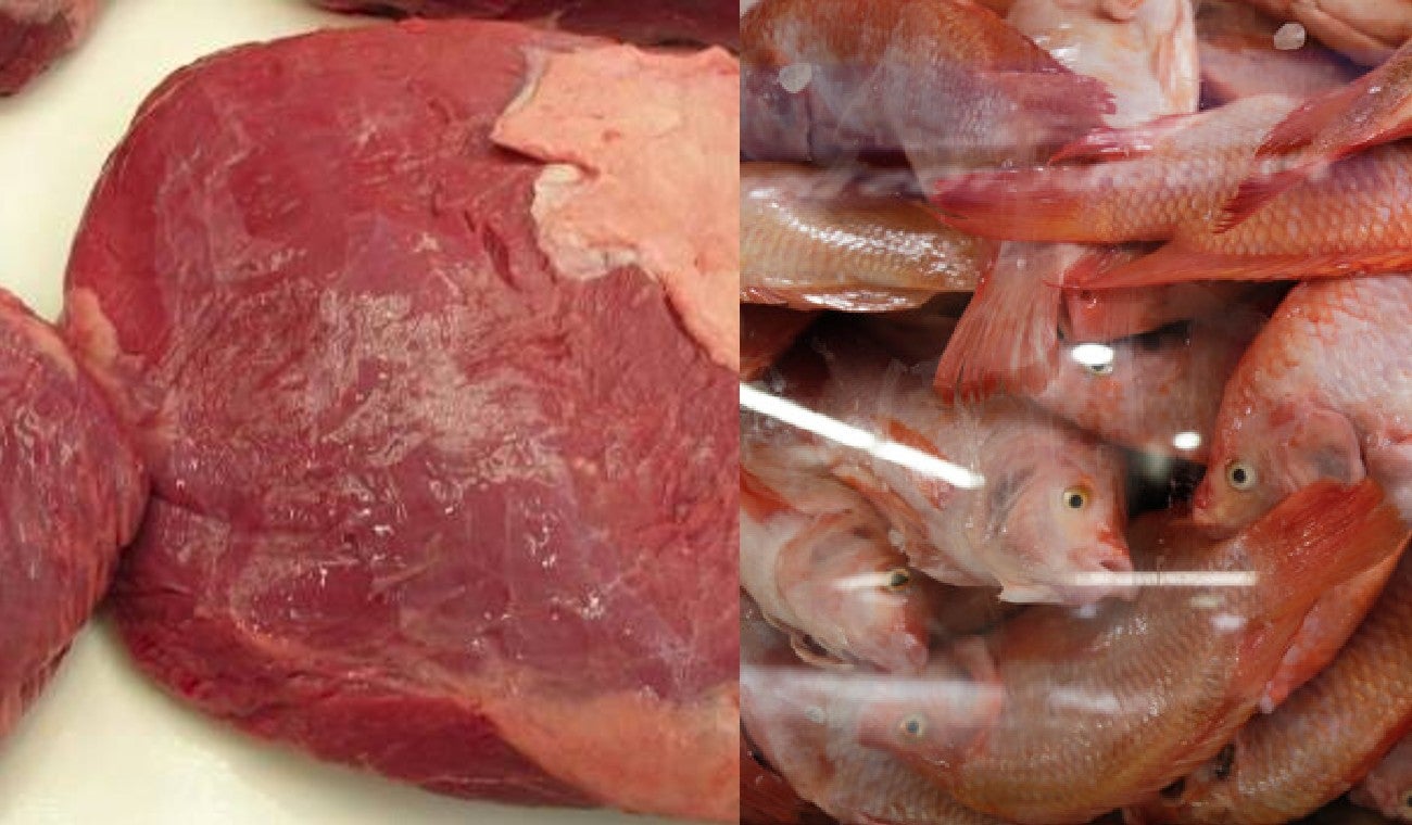 Carne de res y pescado