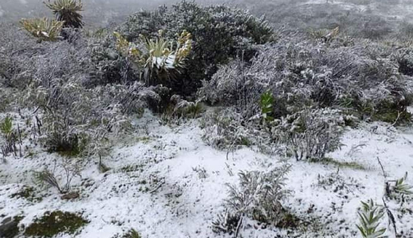 Nevó en Bogotá