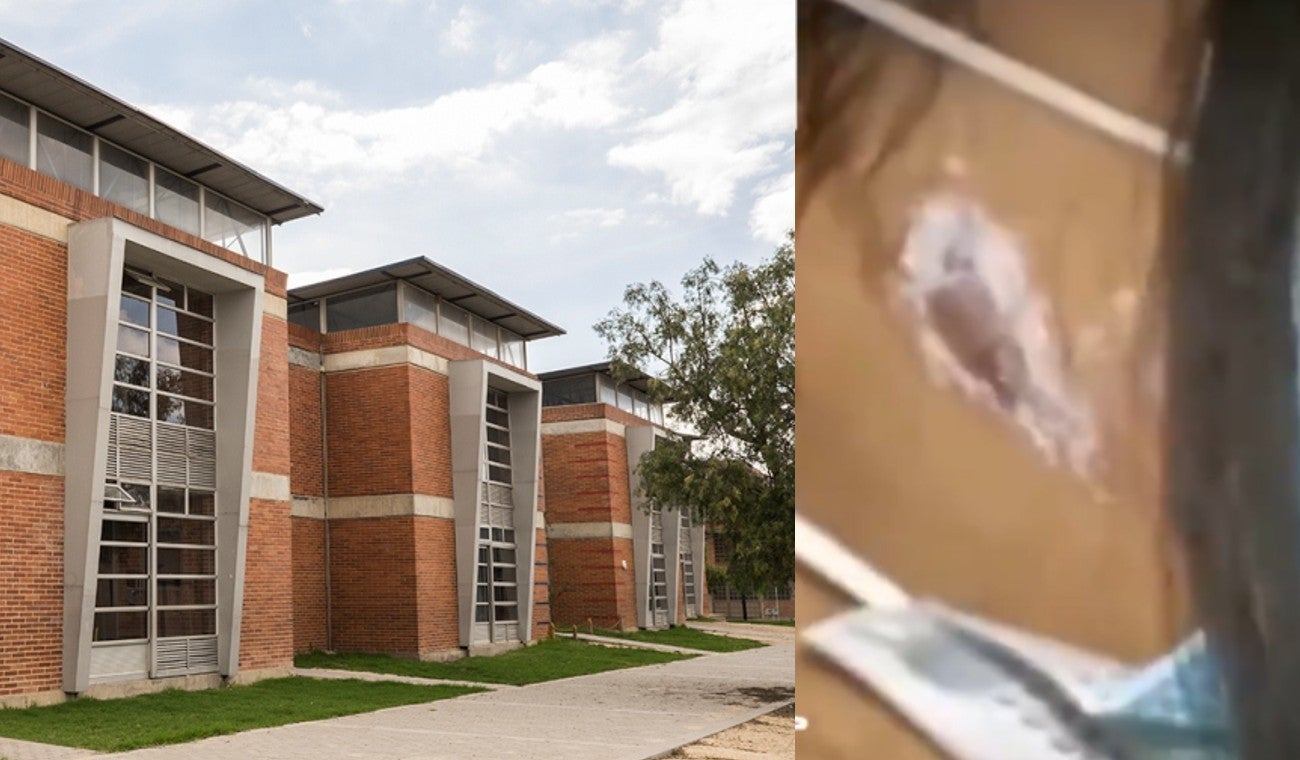 Matoneo en colegio de Kennedy