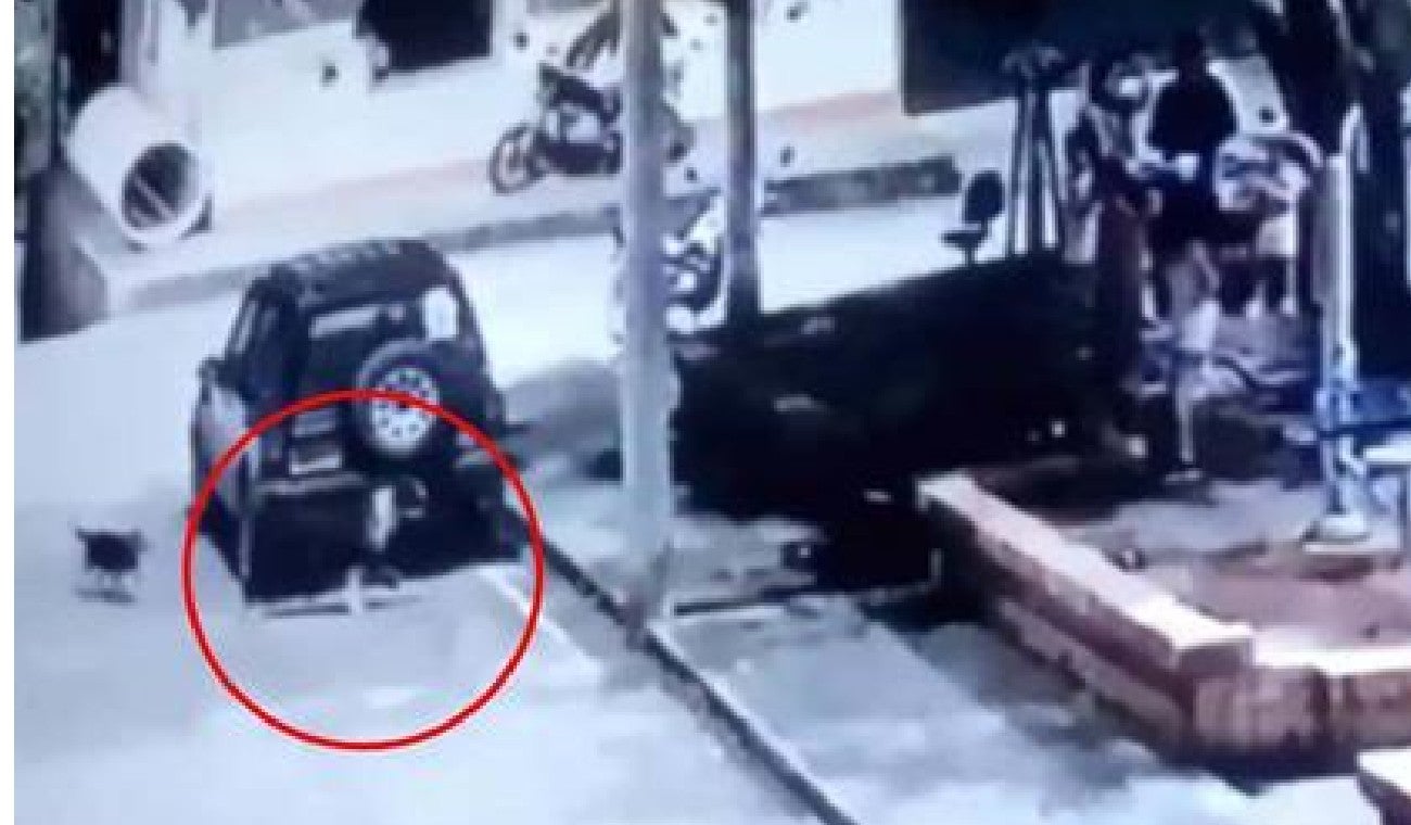 Perro atacó a unas niñas en Cundinamarca