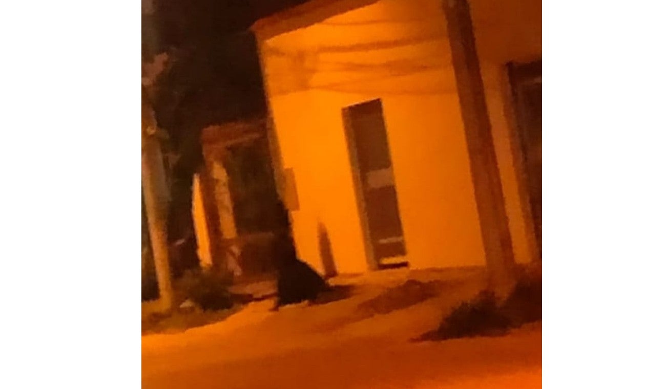 Bruja apareció en Girardot