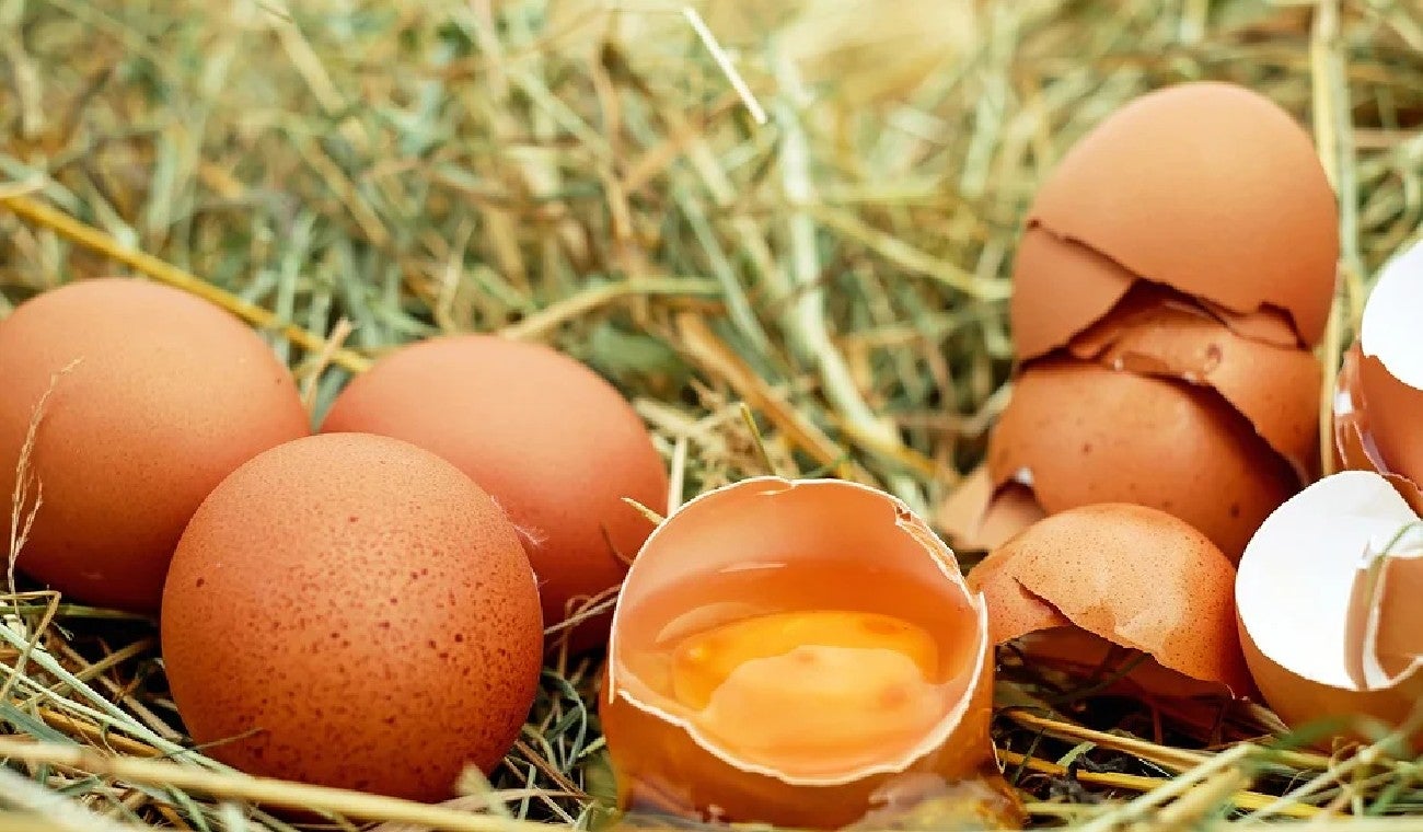 Cómo saber si el huevo está picho