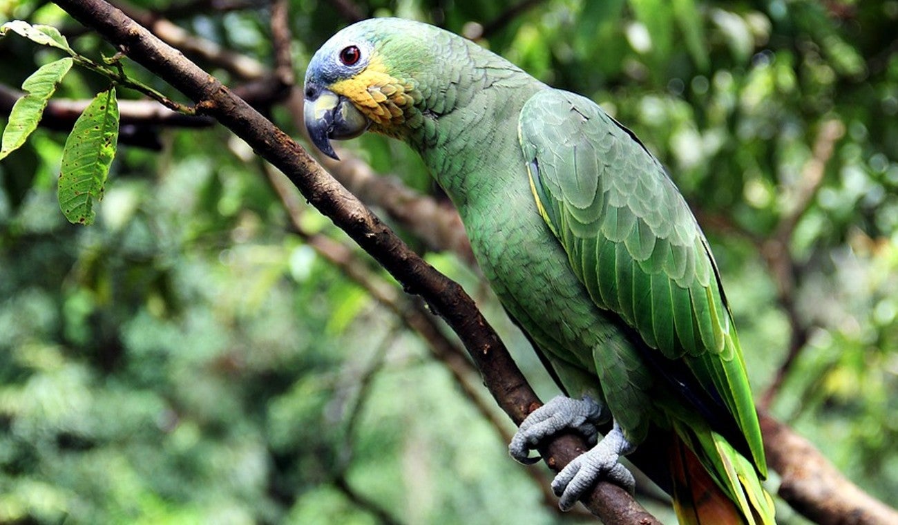 Lora se hace viral por cantar "Dulce pecado" de Jessi Uribe.