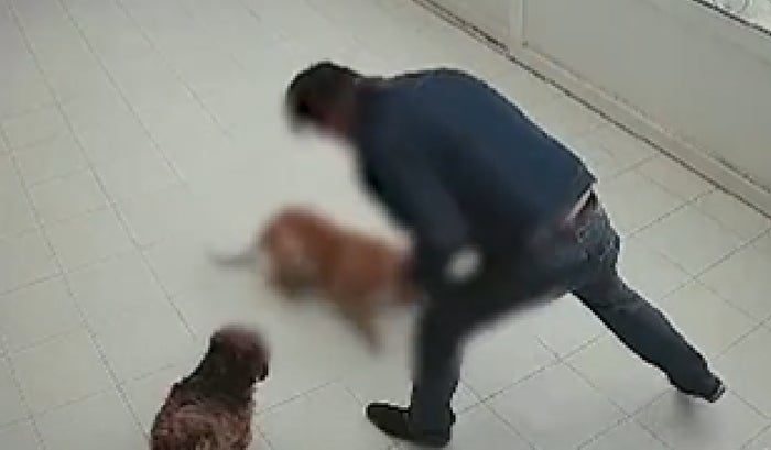 Hombre capturado por dar golpiza a su perro en Bogotá