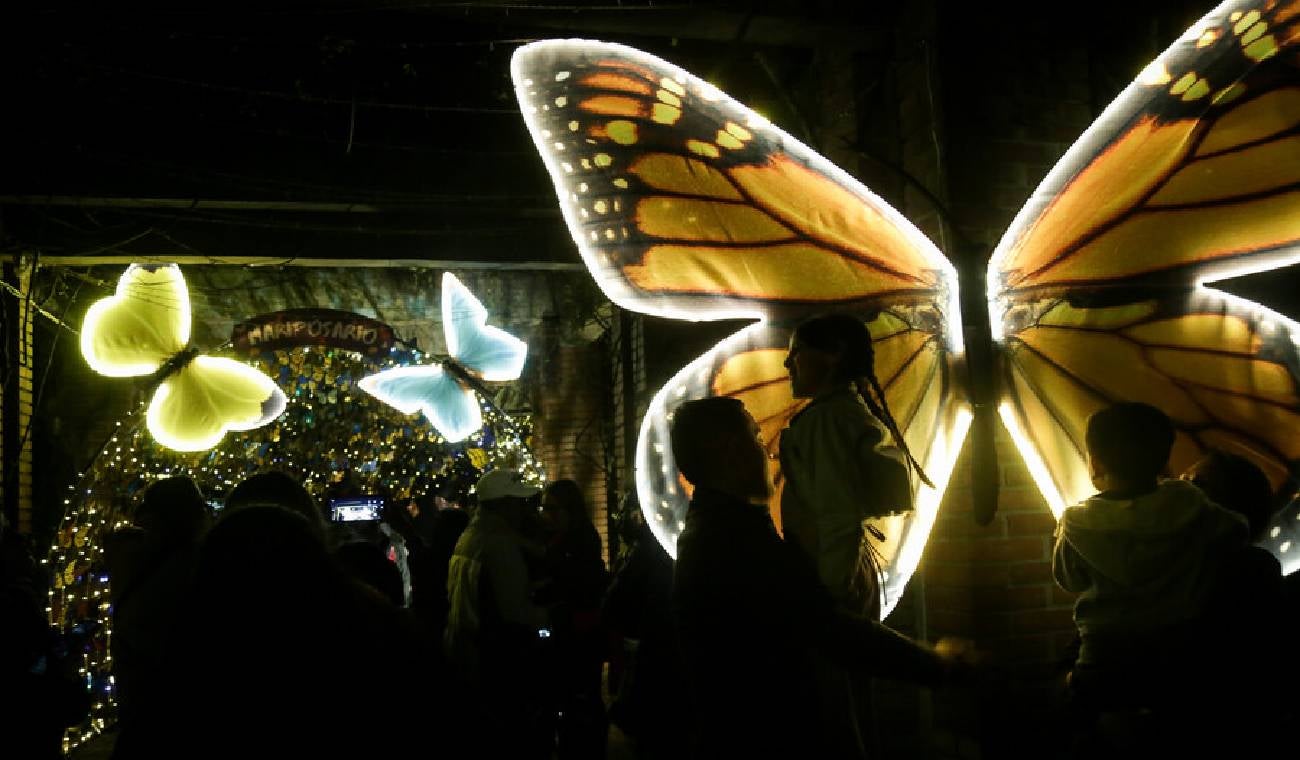 Polinizando, alumbrado en el Jardín Botánico