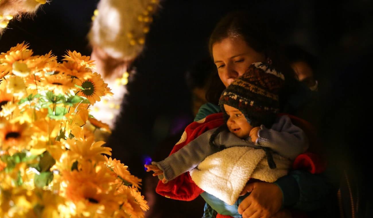 Polinizando, alumbrado en el Jardín Botánico