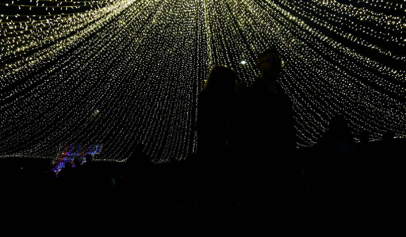 Polinizando, alumbrado en el Jardín Botánico