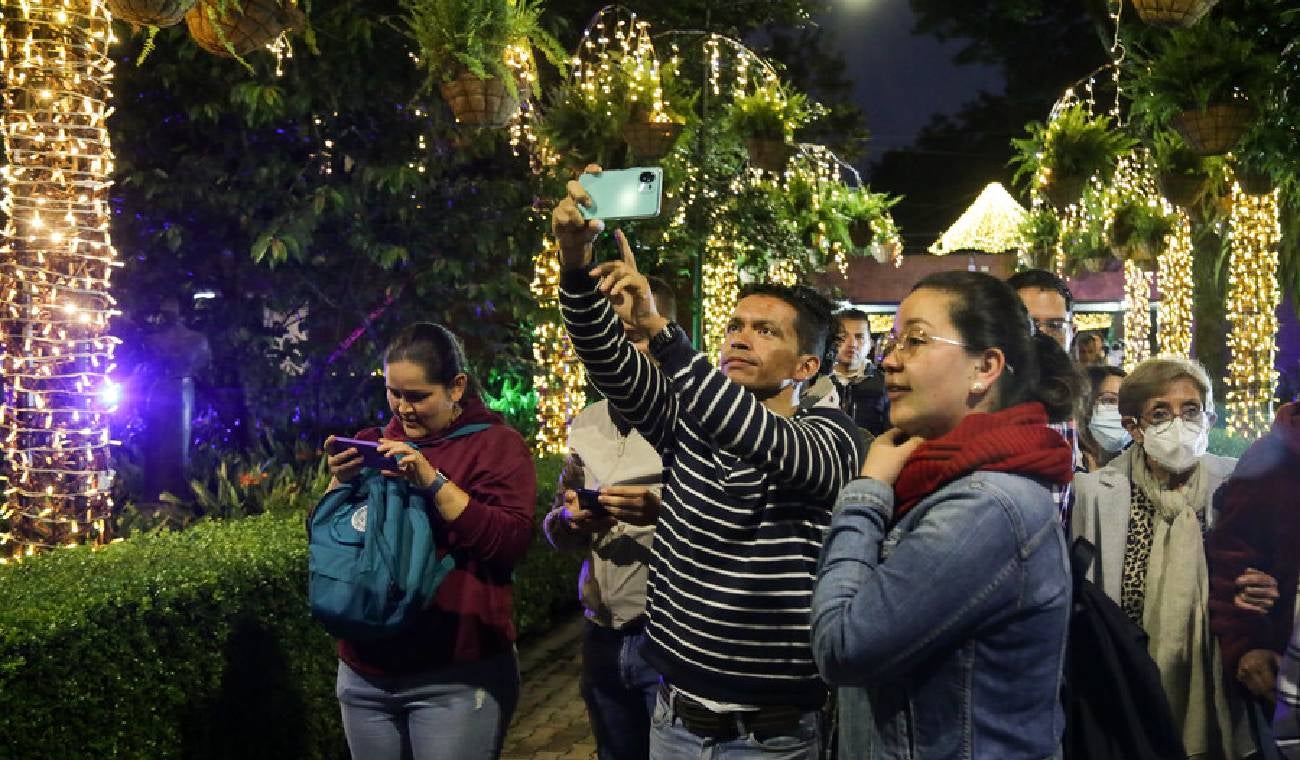Polinizando, alumbrado en el Jardín Botánico