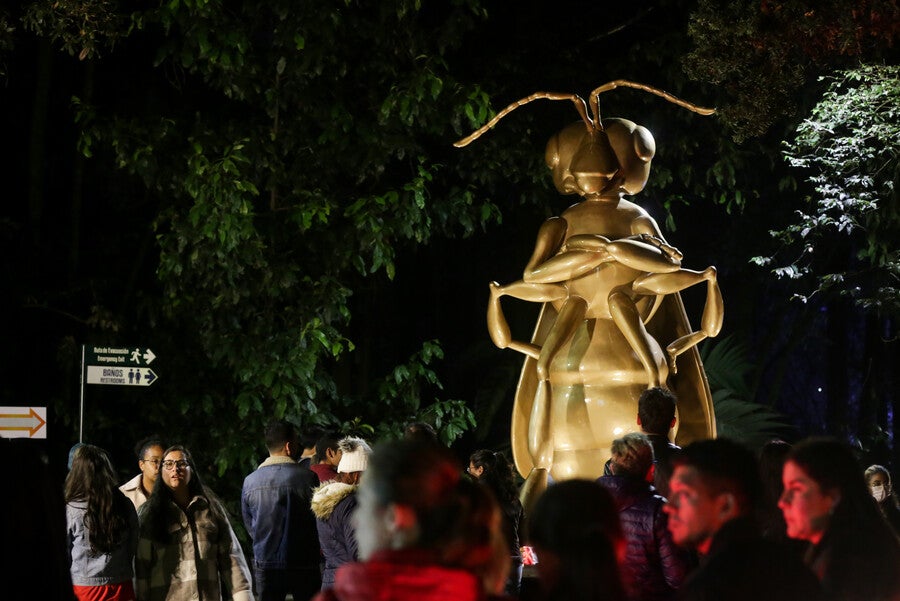 Polinizando, alumbrado en el Jardín Botánico